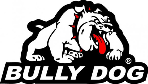 Bully Dog